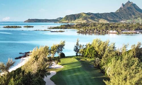 Going global with IMG