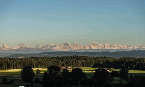 Swiss dreams - Working for Migros Golfparks