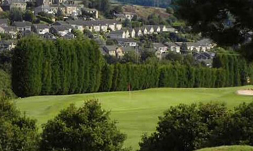 Peter Wood - a stalwart of Yorkshire golf