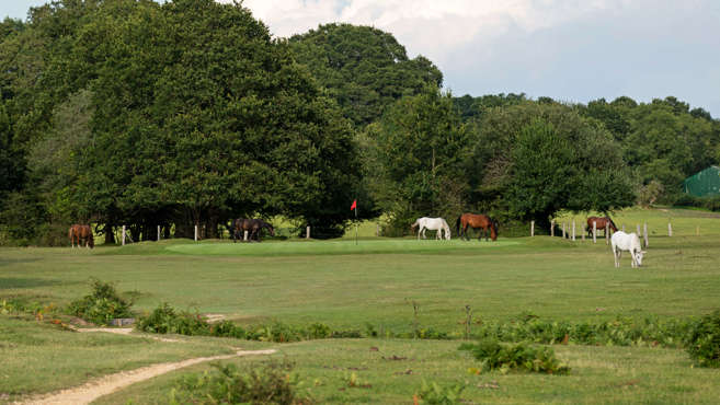 Bramshaw Golf Club to host PGA Benevolent Fund Captain’s Day - Entries are now open