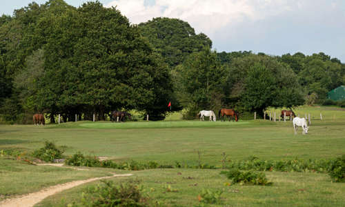 Bramshaw Golf Club to host PGA Benevolent Fund Captain’s Day - Entries are now open