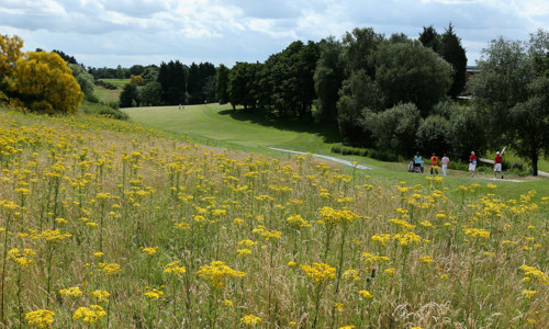 Simon’s support for Stoke by Nayland sustainability principles